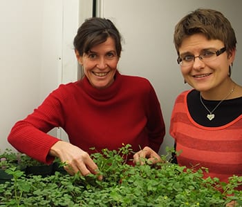 Maria Harrison with fellow scientist looking at plant 